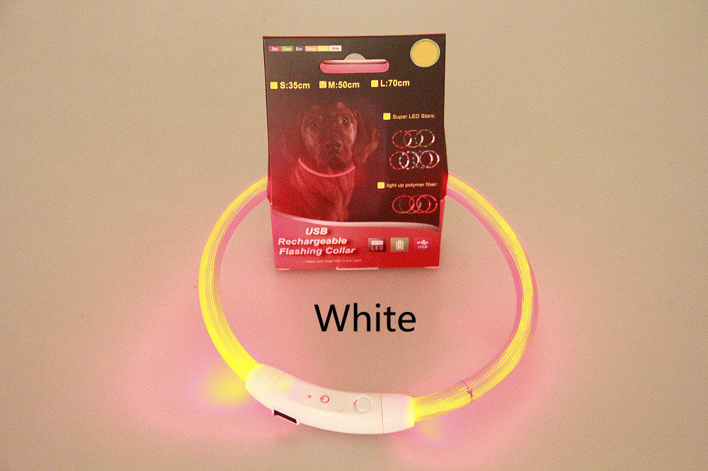 Pet Flashing Collar USB Rechargeable Glowing Necklace