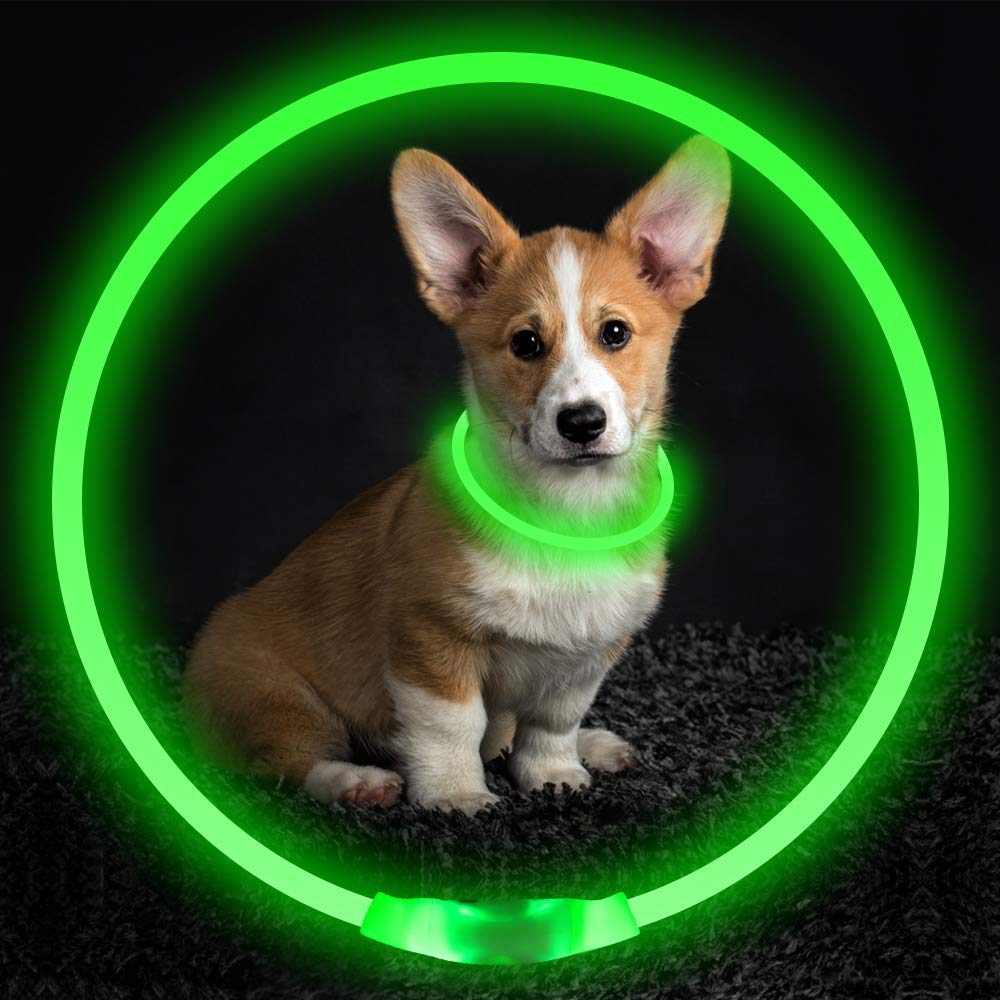 Pet Flashing Collar USB Rechargeable Glowing Necklace
