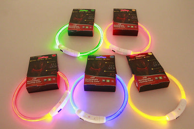 Pet Flashing Collar USB Rechargeable Glowing Necklace
